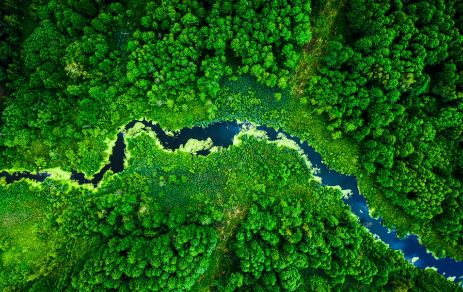 Bild von Fluss von oben mit grüner Umgebung