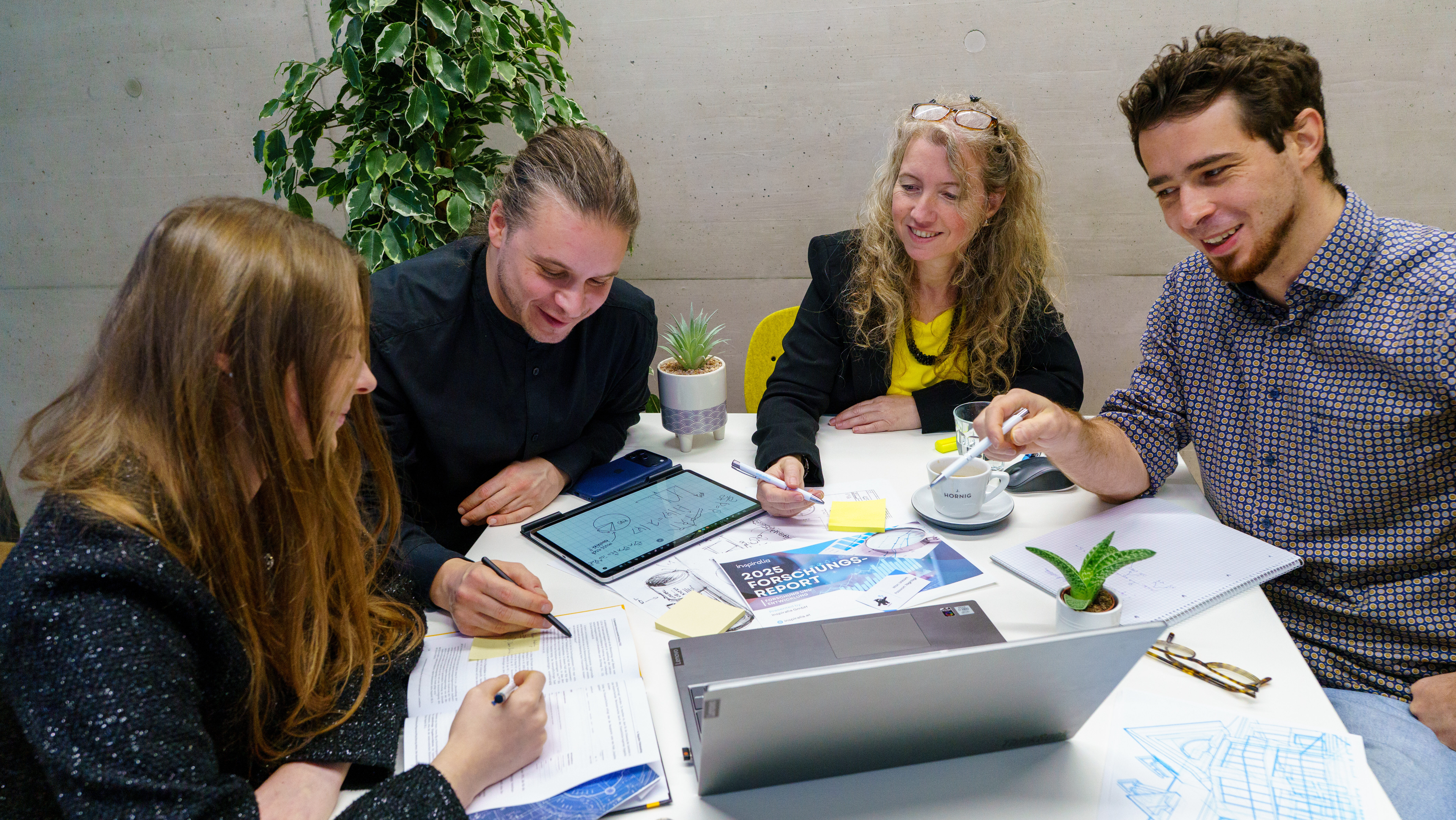 Forschung und Entwicklung Förderberatung Inspiralia GmbH